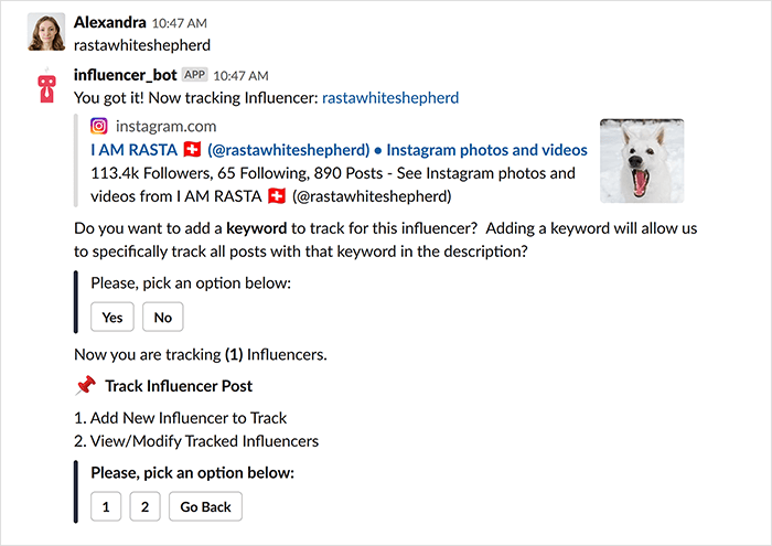 influencer-bot
